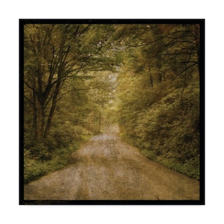 John W. Golden 'Flannery Fork Road' Canvas Art,18x18